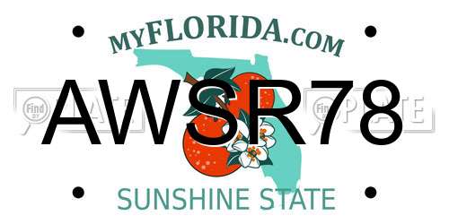 AWSR78 Florida License Plate