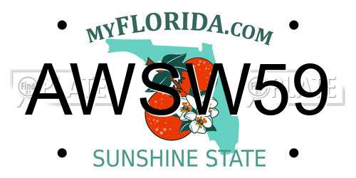 AWSW59 Florida License Plate