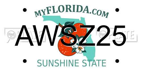 AWSZ25 Florida License Plate