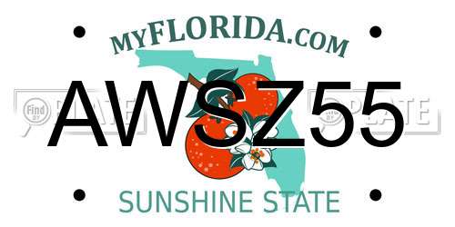 AWSZ55 Florida License Plate