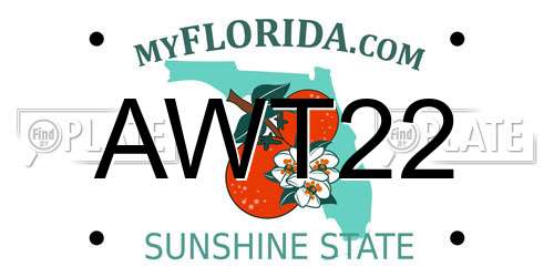 AWT22 Florida License Plate