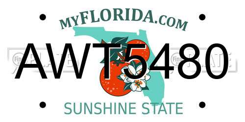 AWT5480 Florida License Plate