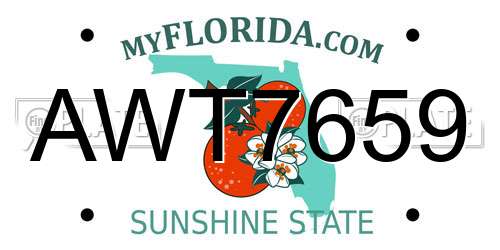 AWT7659 Florida License Plate