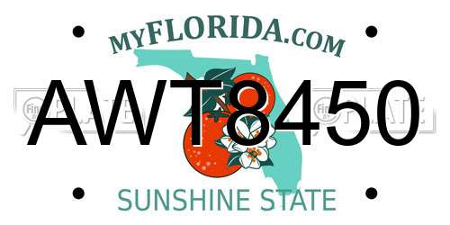 AWT8450 Florida License Plate