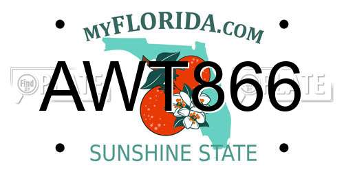 AWT866 Florida License Plate