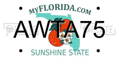 AWTA75 Florida License Plate