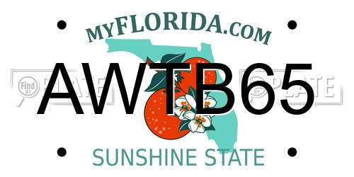 AWTB65 Florida License Plate