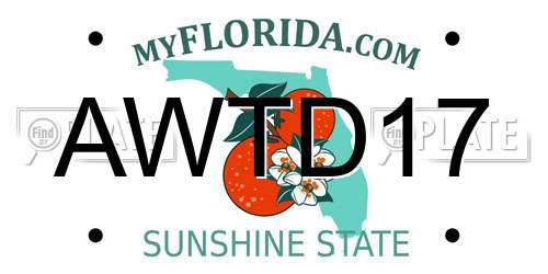 AWTD17 Florida License Plate