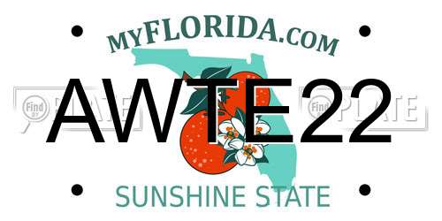AWTE22 Florida License Plate