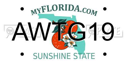 AWTG19 Florida License Plate