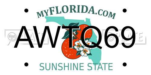 AWTQ69 Florida License Plate