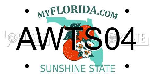 AWTS04 Florida License Plate