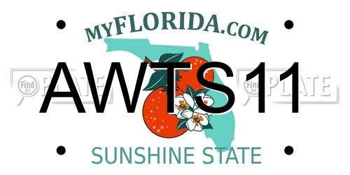 AWTS11 Florida License Plate