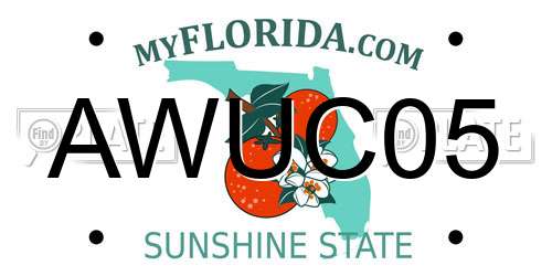 AWUC05 Florida License Plate