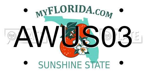 AWUS03 Florida License Plate