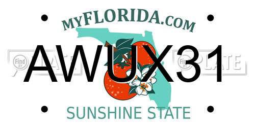 AWUX31 Florida License Plate