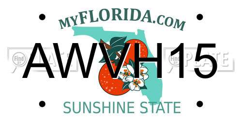 AWVH15 Florida License Plate