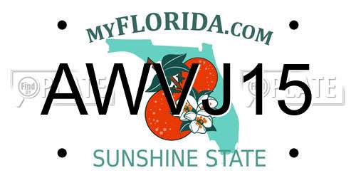 AWVJ15 Florida License Plate