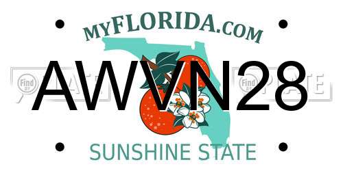 AWVN28 Florida License Plate