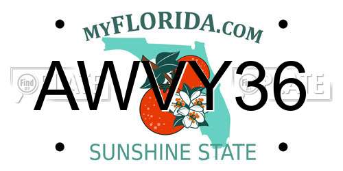 AWVY36 Florida License Plate