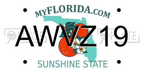AWVZ19 Florida License Plate
