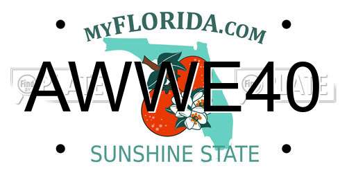 AWWE40 Florida License Plate