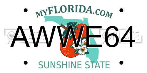 AWWE64 Florida License Plate
