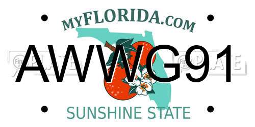 AWWG91 Florida License Plate