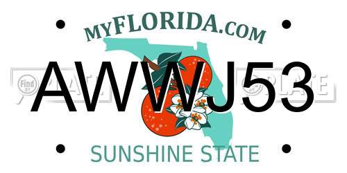 AWWJ53 Florida License Plate
