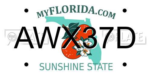 AWX37D Florida License Plate