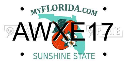 AWXE17 Florida License Plate