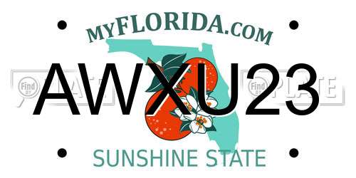 AWXU23 Florida License Plate