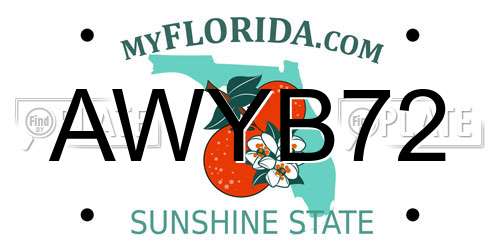AWYB72 Florida License Plate