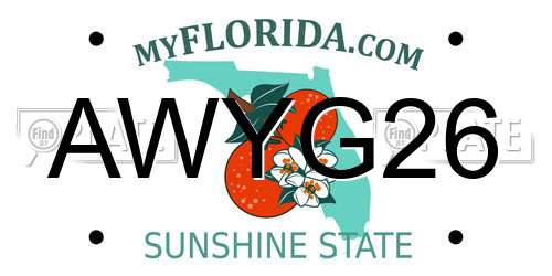 AWYG26 Florida License Plate