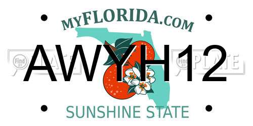 AWYH12 Florida License Plate