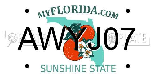 AWYJ07 Florida License Plate