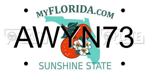 AWYN73 Florida License Plate