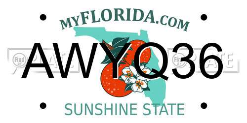 AWYQ36 Florida License Plate