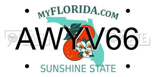 AWYV66 Florida License Plate