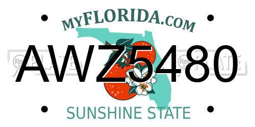 AWZ5480 Florida License Plate