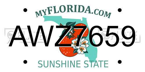AWZ7659 Florida License Plate