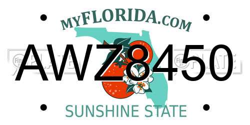 AWZ8450 Florida License Plate