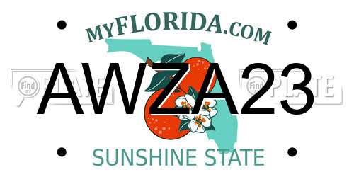 AWZA23 Florida License Plate