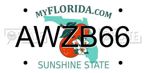 AWZB66 Florida License Plate