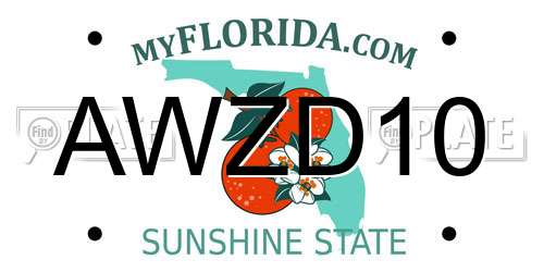 AWZD10 Florida License Plate