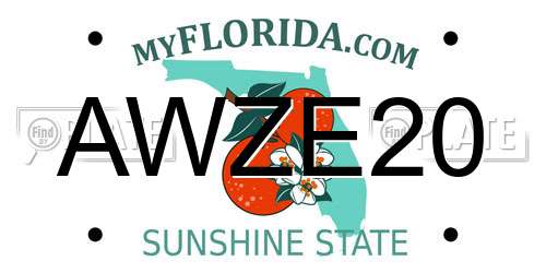 AWZE20 Florida License Plate