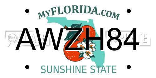 AWZH84 Florida License Plate