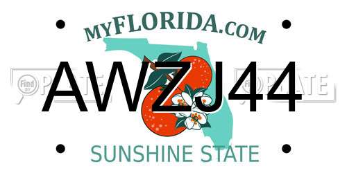 AWZJ44 Florida License Plate