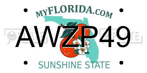 AWZP49 Florida License Plate