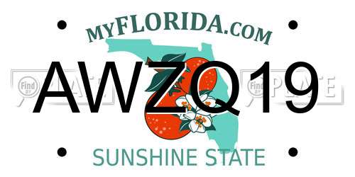 AWZQ19 Florida License Plate